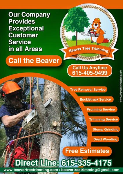 Beaver Tree Trimming