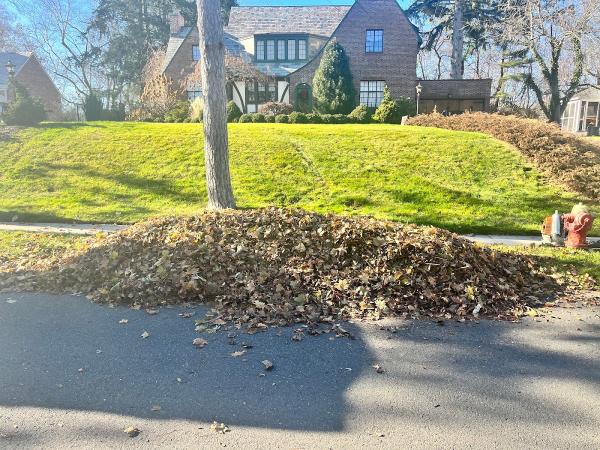 Pro Landscaping LLC