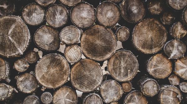 Fox Valley Tree Service