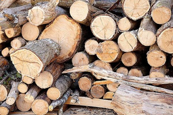 Fox Valley Tree Service