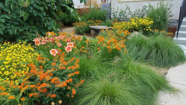 Field Outdoor Spaces