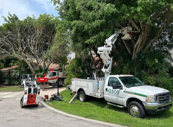 ECO Tree Experts