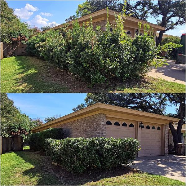 Premier Landscaping & Lawn Maintenance