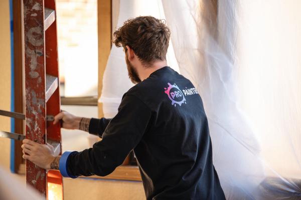 Pro Painters