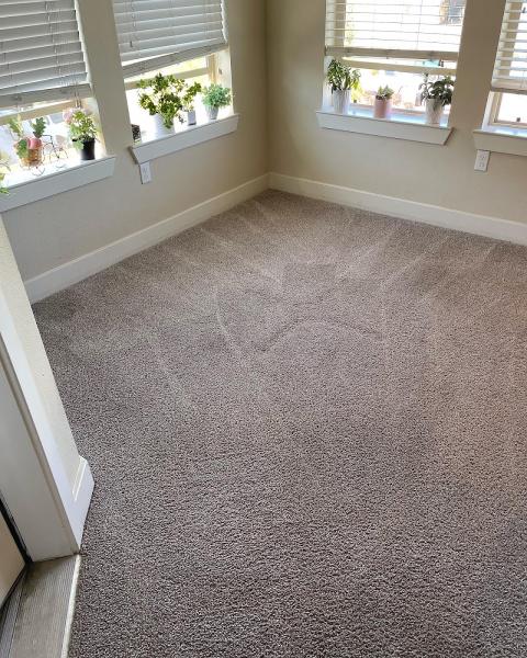 Pro Carpet Cleaning LLC