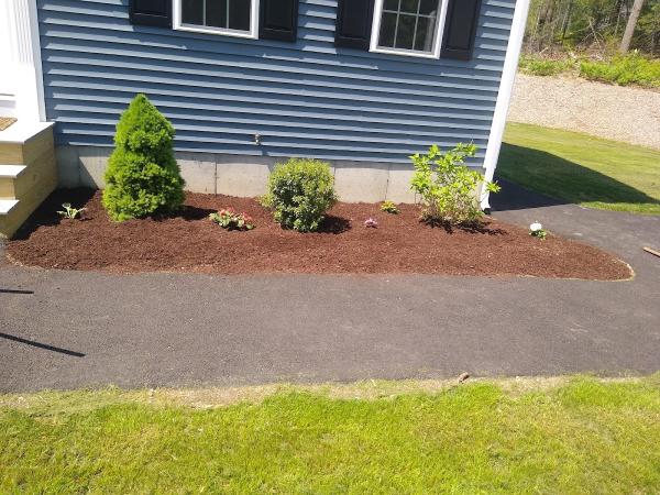 Arka Landscape & Junk Removal