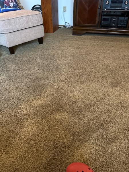 Filthy 2 Clean Steam Team Carpet/Upholstery/ Tile Floor Cleaning