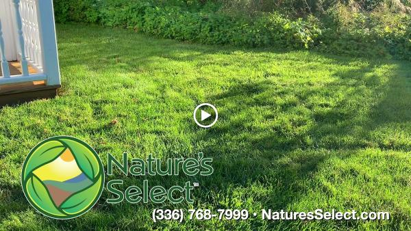 Nature's Select Premium Turf Services