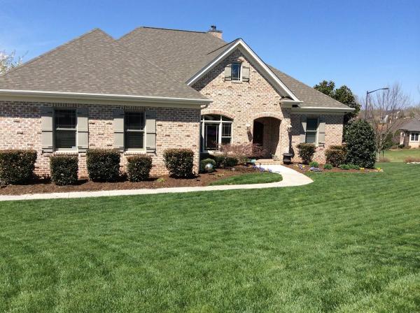 Nature's Select Premium Turf Services