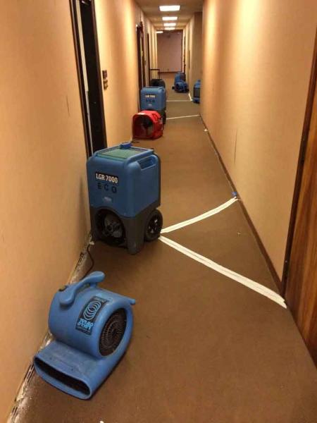 Eco Clean Hawaii