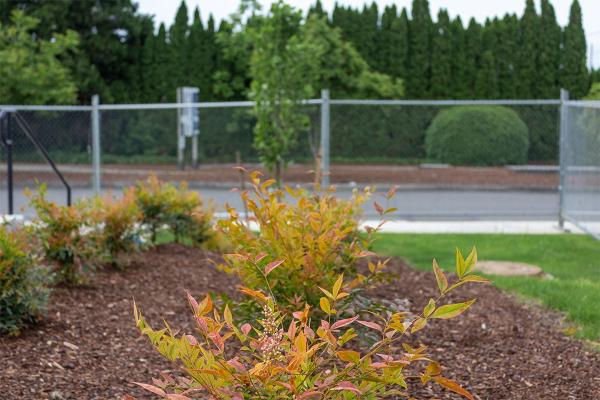 Viewpoints Landscaping
