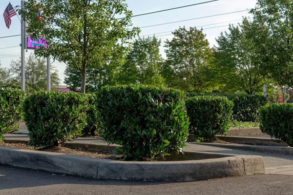 Viewpoints Landscaping