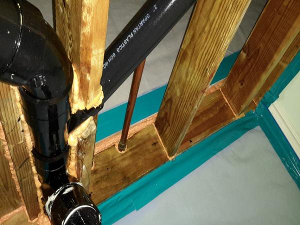 Coast Abatement Services