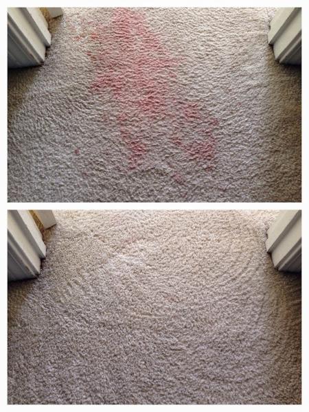 1-800 Water Damage