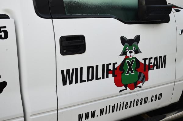 Wildlife X Team