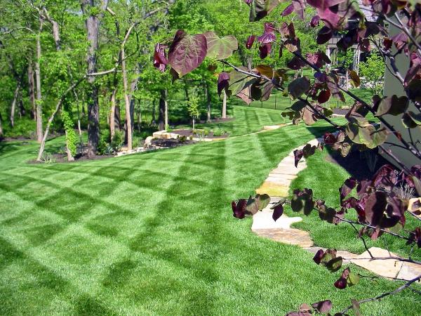 Augusta Lawns LLC