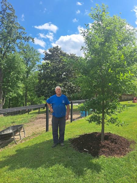 Ron Raby Tree and Landscape