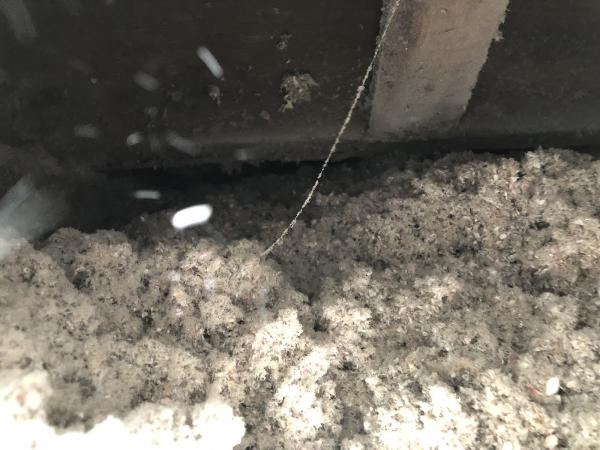 Go Go Green Insulation