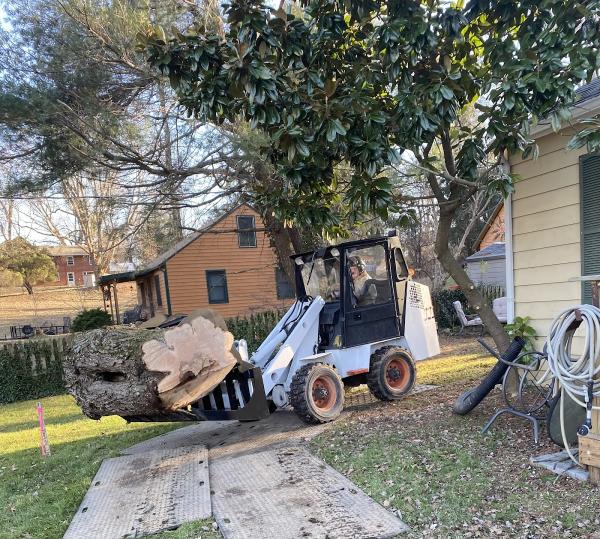 Valley Arbor Care LLC