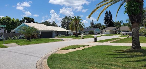 All Surface Pressure Cleaning and Roof Washing.