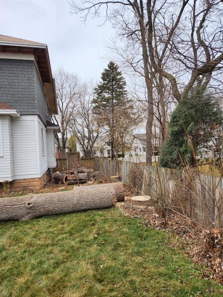 Economy Tree Service LLC