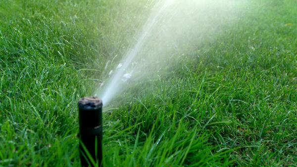Friends Irrigation
