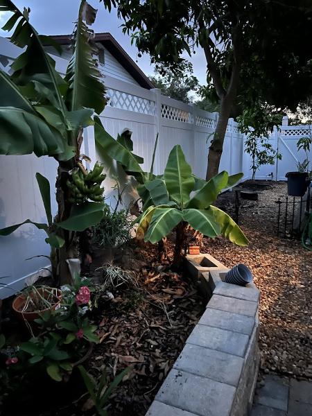 Bay Area Fencing Company