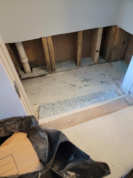 Professional Restoration Services