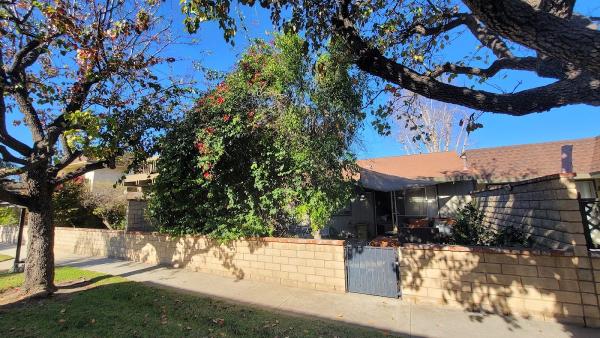 Conejo Valley Tree Services