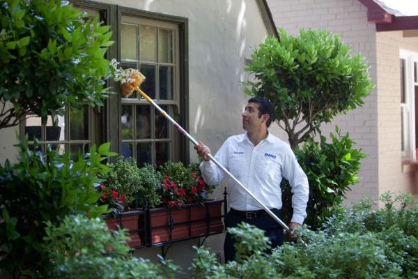 Barrier Pest Solutions