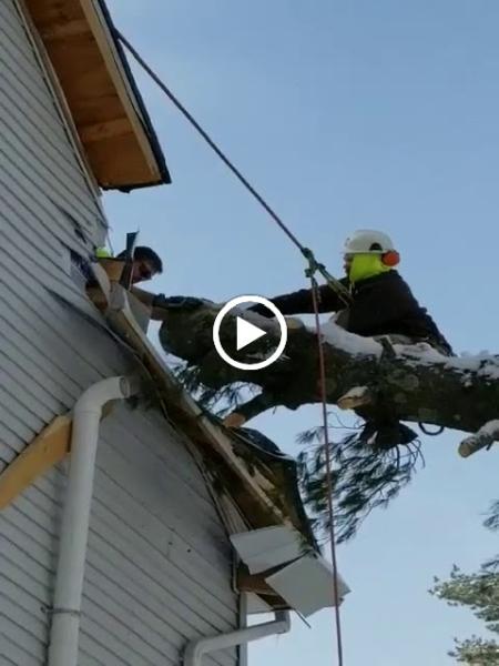 Mr. Outdoor Tree Service
