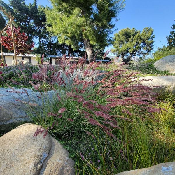 Bentson Landscape