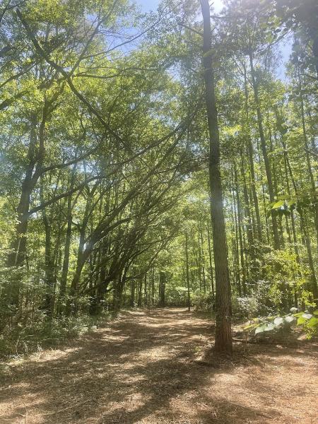 Greenway Landcare