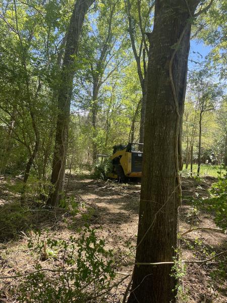 Greenway Landcare
