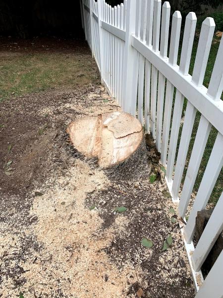 Burnette Stump Grinding