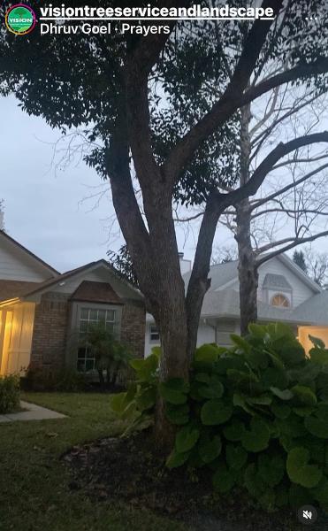 Vision Landscaping and Tree Services