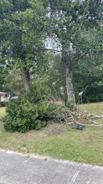 Vision Landscaping and Tree Services