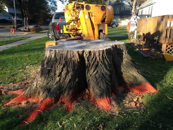 Dump That Stump LLC