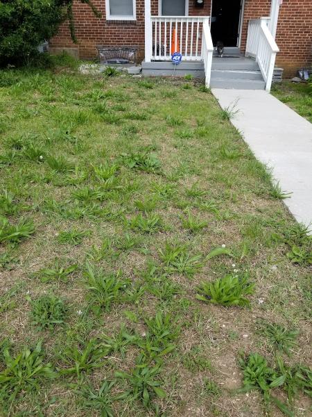 C&C Lawn Care