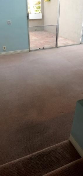 Greg's Carpet Cleaning & Upholstery Inc.