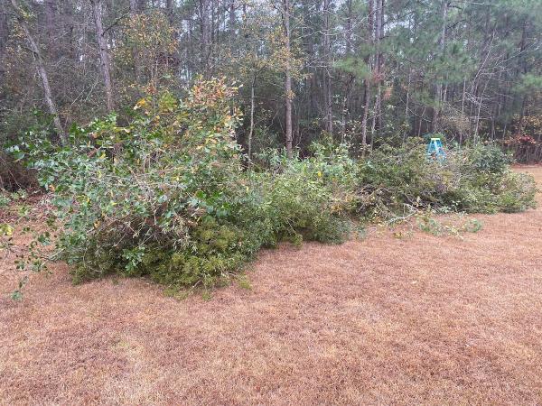 Louis Lawn Service & Landscape Design