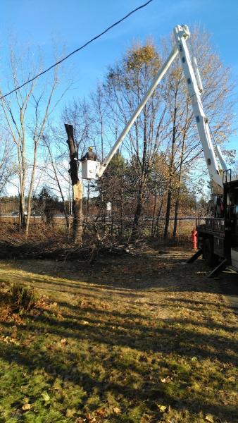 Orion Tree Services
