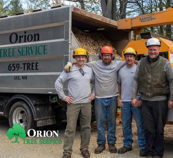 Orion Tree Services