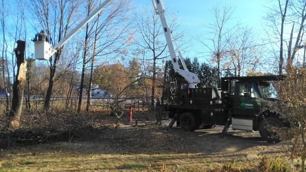 Orion Tree Services