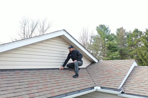 Springirth Services Home Inspections