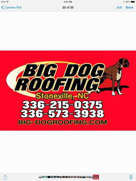Big Dog Roofing