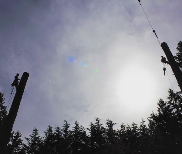Axia Tree Service