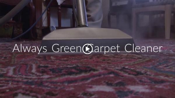 Always Green Carpet Cleaner NYC