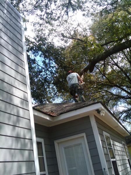 Cain's Tree & Landscape Inc