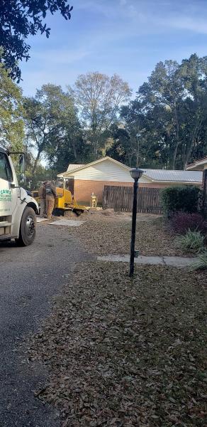 Cain's Tree & Landscape Inc